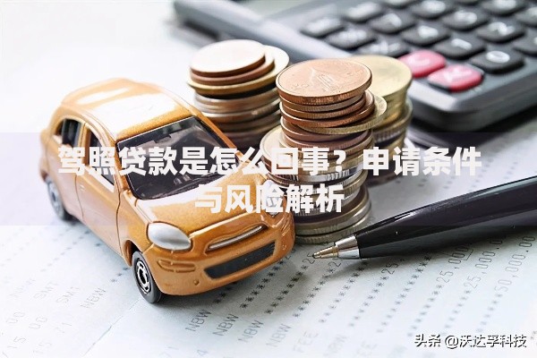 驾照贷款是怎么回事？申请条件与风险解析