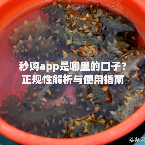 秒购app是哪里的口子？正规性解析与使用指南