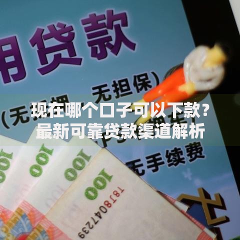 现在哪个口子可以下款？最新可靠贷款渠道解析