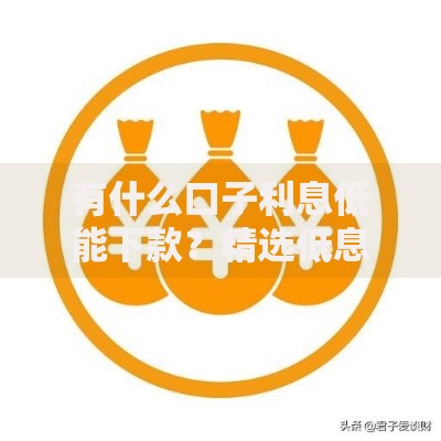 有什么口子利息低能下款？精选低息正规贷款渠道解析