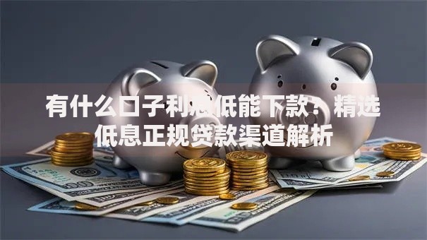 有什么口子利息低能下款？精选低息正规贷款渠道解析