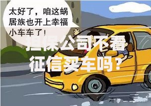 担保公司不看征信买车吗？低门槛购车贷款全解析