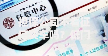 担保公司不看征信买车吗？低门槛购车贷款全解析