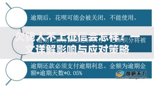 欠钱人不上征信会怎样？一文详解影响与应对策略
