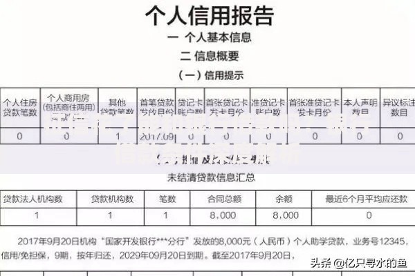 征信花了能和银行借款吗?银行借款条件深度解析 征信花了能和银行借款吗?银行借款条件深度解析