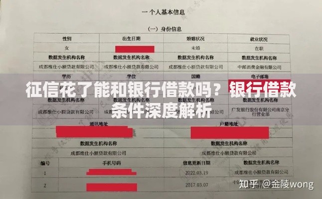 征信花了能和银行借款吗?银行借款条件深度解析 征信花了能和银行借款吗?银行借款条件深度解析