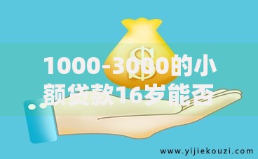 1000-3000的小额贷款16岁能否申请？合法途径深度解析