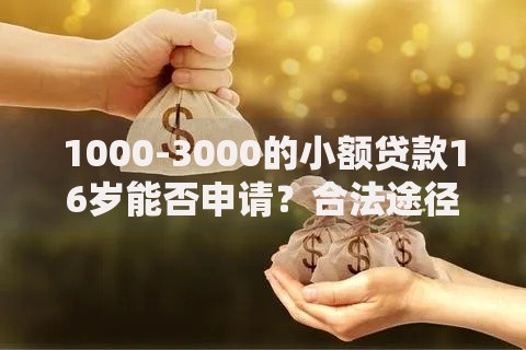 1000-3000的小额贷款16岁能否申请？合法途径深度解析