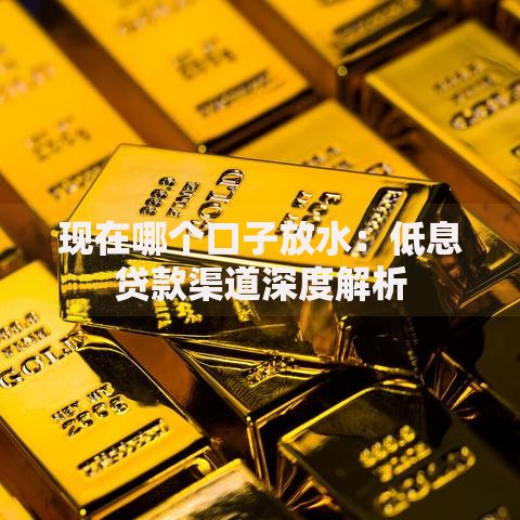 现在哪个口子放水：低息贷款渠道深度解析