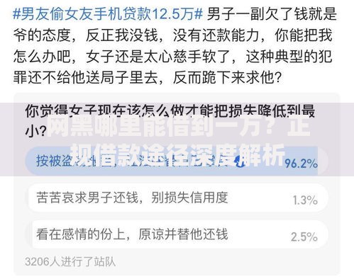 网黑哪里能借到一万？正规借款途径深度解析