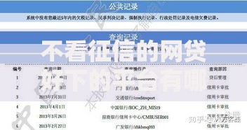 不看征信的网贷好下的平台有哪些？快速申请攻略