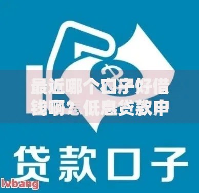 最近哪个口子好借钱啊？低息贷款申请全流程解析