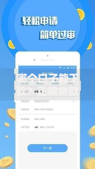 哪个口子能下款？正规贷款渠道深度解析
