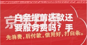 白条提前还款还要服务费吗？手续费规则与注意事项解析
