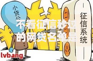 不看征信秒过的网贷名单是真的吗？深度解析风险与真相