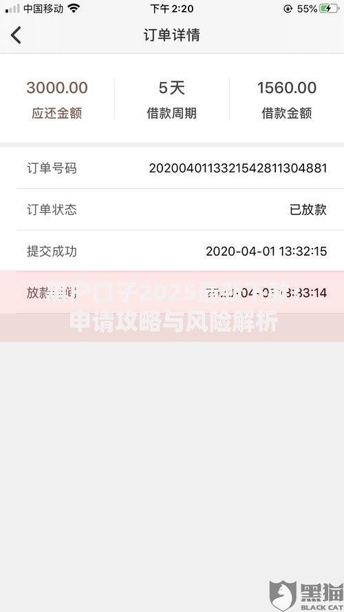 黑户口子2025最新下款：申请攻略与风险解析