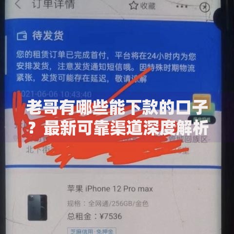 老哥有哪些能下款的口子？最新可靠渠道深度解析