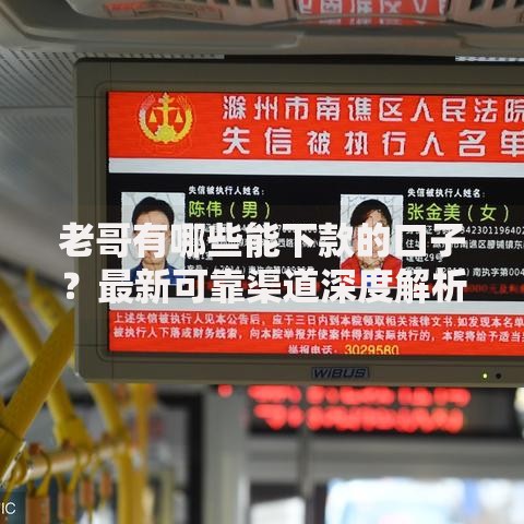 老哥有哪些能下款的口子？最新可靠渠道深度解析