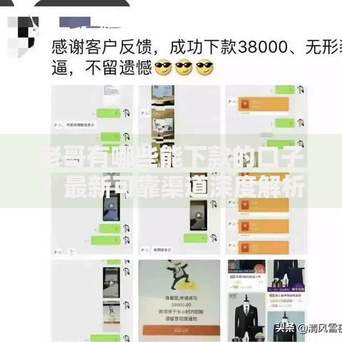 老哥有哪些能下款的口子？最新可靠渠道深度解析