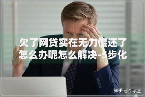 欠了网贷实在无力偿还了怎么办呢怎么解决-5步化解债务危机
