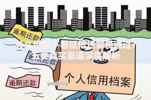 什么借款不看征信还容易通过？五类真实渠道深度解析
