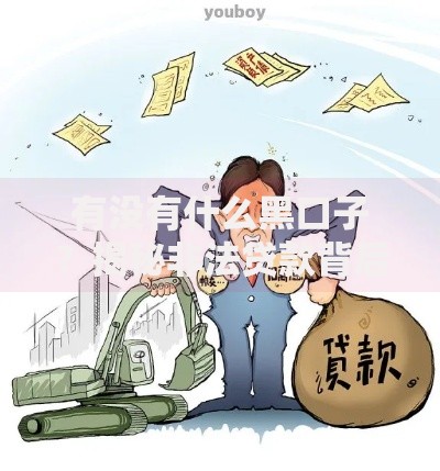 有没有什么黑口子？揭秘非法贷款背后的风险与应对策略