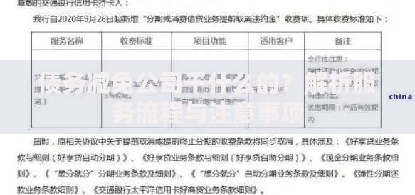 债务减免公司干什么的？解析服务流程与注意事项