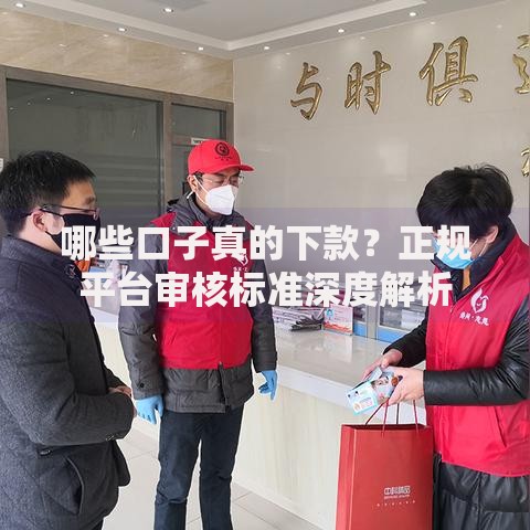 哪些口子真的下款？正规平台审核标准深度解析