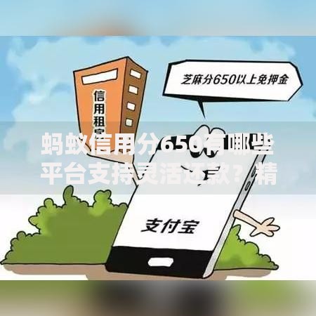 蚂蚁信用分650有哪些平台支持灵活还款？精选解析