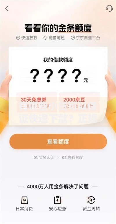 有哪些小贷可以保证快速下款？正规平台审核流程详解