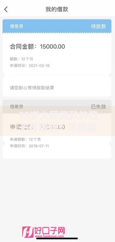 55岁大额贷款的口子有哪些？详细条件与申请流程解析
