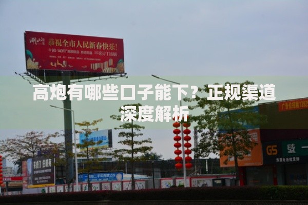 高炮有哪些口子能下？正规渠道深度解析