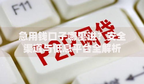 急用钱口子哪里进？安全渠道与低息平台全解析