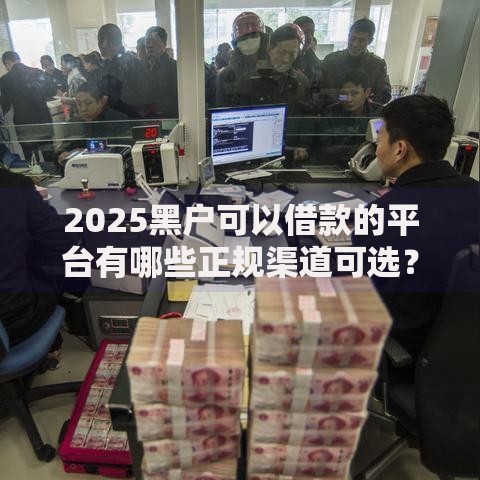 2025黑户可以借款的平台有哪些正规渠道可选？