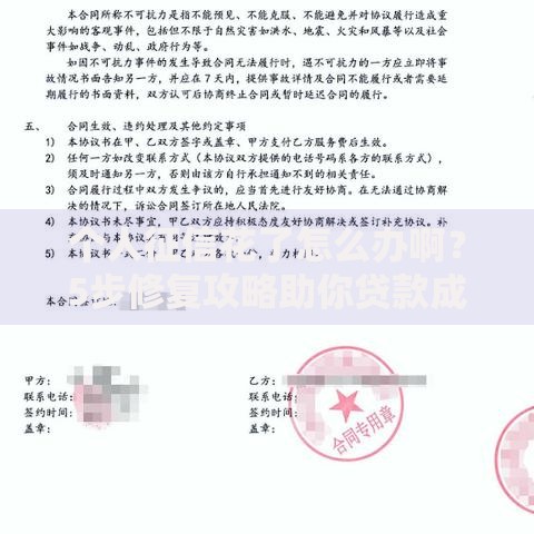 个人征信花了怎么办啊？5步修复攻略助你贷款成功