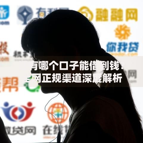 还有哪个口子能借到钱？全网正规渠道深度解析