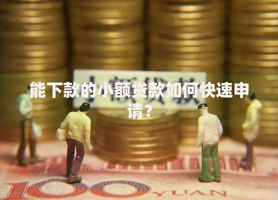 能下款的小额贷款如何快速申请? 能下款的小额贷款如何快速申请?