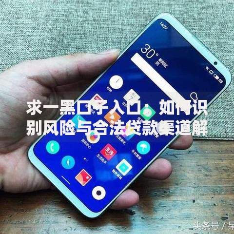 求一黑口子入口：如何识别风险与合法贷款渠道解析
