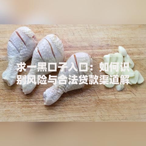 求一黑口子入口：如何识别风险与合法贷款渠道解析