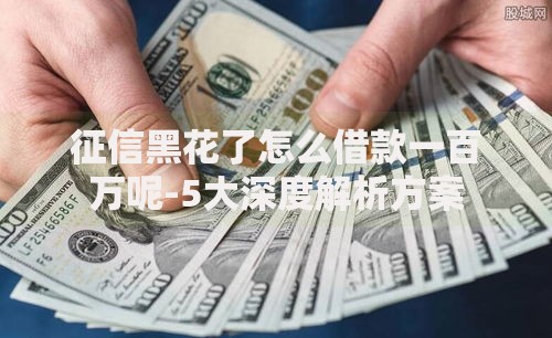征信黑花了怎么借款一百万呢-5大深度解析方案