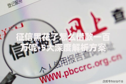 征信黑花了怎么借款一百万呢-5大深度解析方案