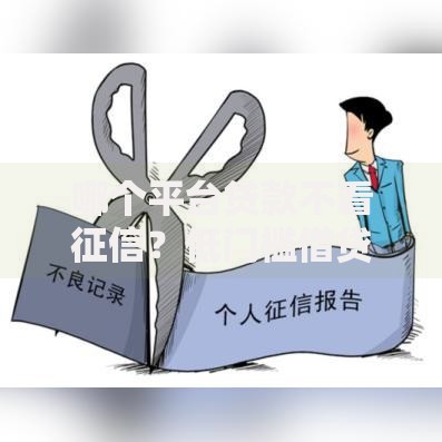 哪个平台贷款不看征信？低门槛借贷渠道深度解析