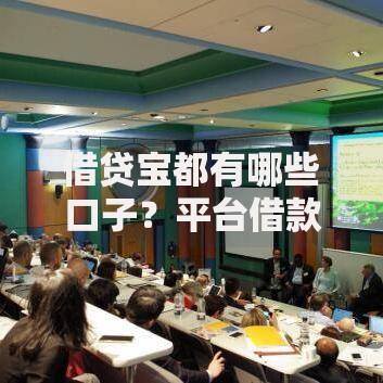 借贷宝都有哪些口子？平台借款渠道全解析