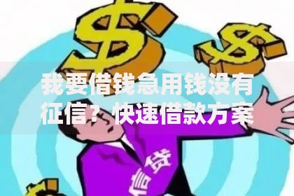 我要借钱急用钱没有征信？快速借款方案解析
