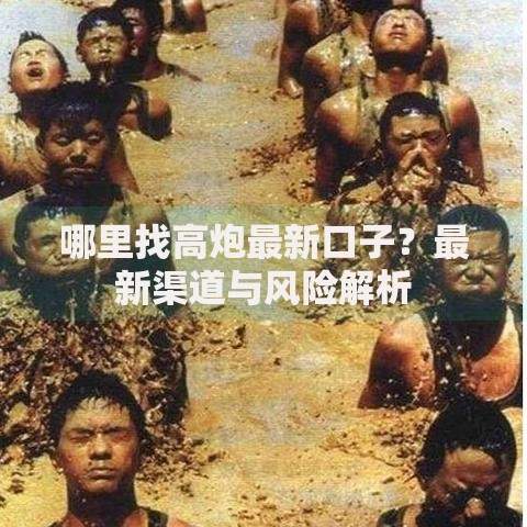 哪里找高炮最新口子？最新渠道与风险解析
