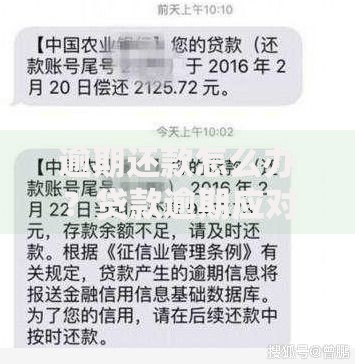 逾期还款怎么办？贷款逾期应对方案及后果解析