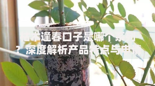 枯木逢春口子是哪个系列？深度解析产品特点与申请攻略