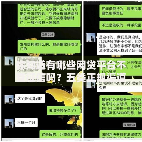 你知道有哪些网贷平台不查征信吗？五类正规渠道解析