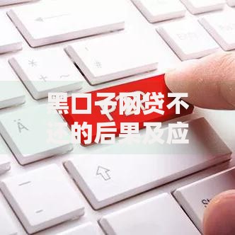 黑口子网贷不还的后果及应对策略全解析