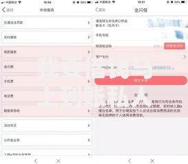 我要借钱马上到账私人合肥如何快速办理？靠谱渠道有哪些